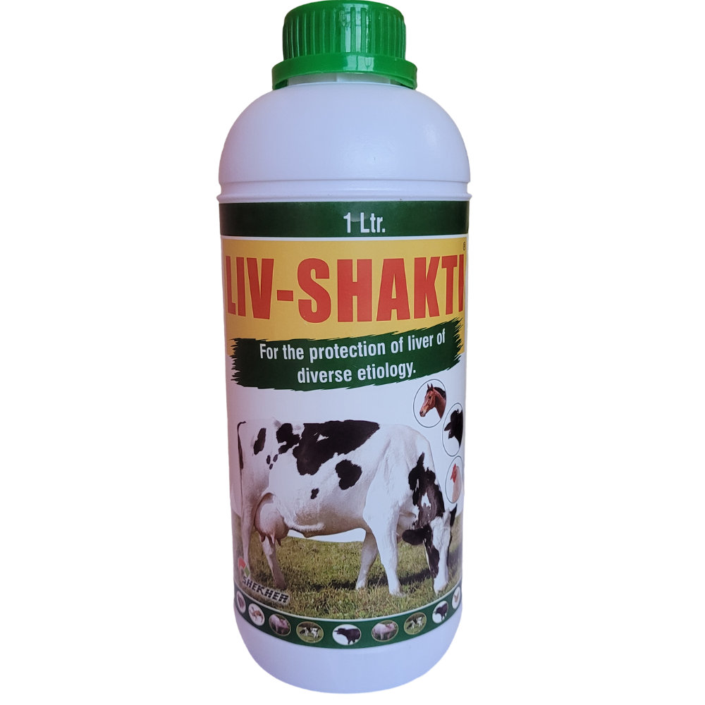 LIV-SHAKTI LIQUID